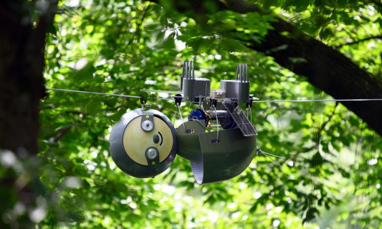 SlothBot operating in Atlanta Botanical Garden - 2